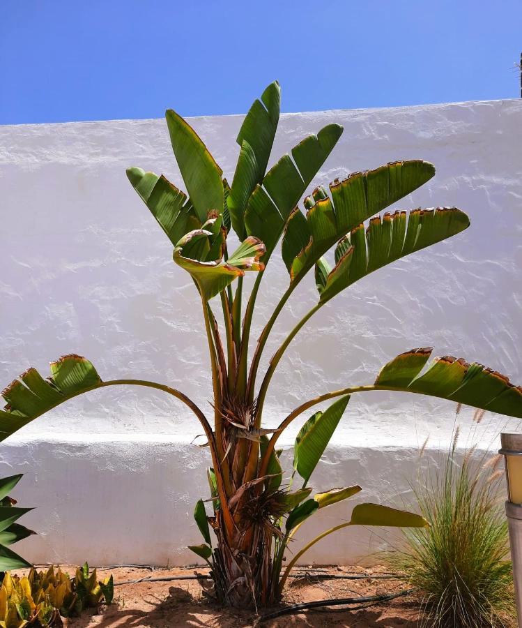 Casa Vivi Fuerteventura Apartment
